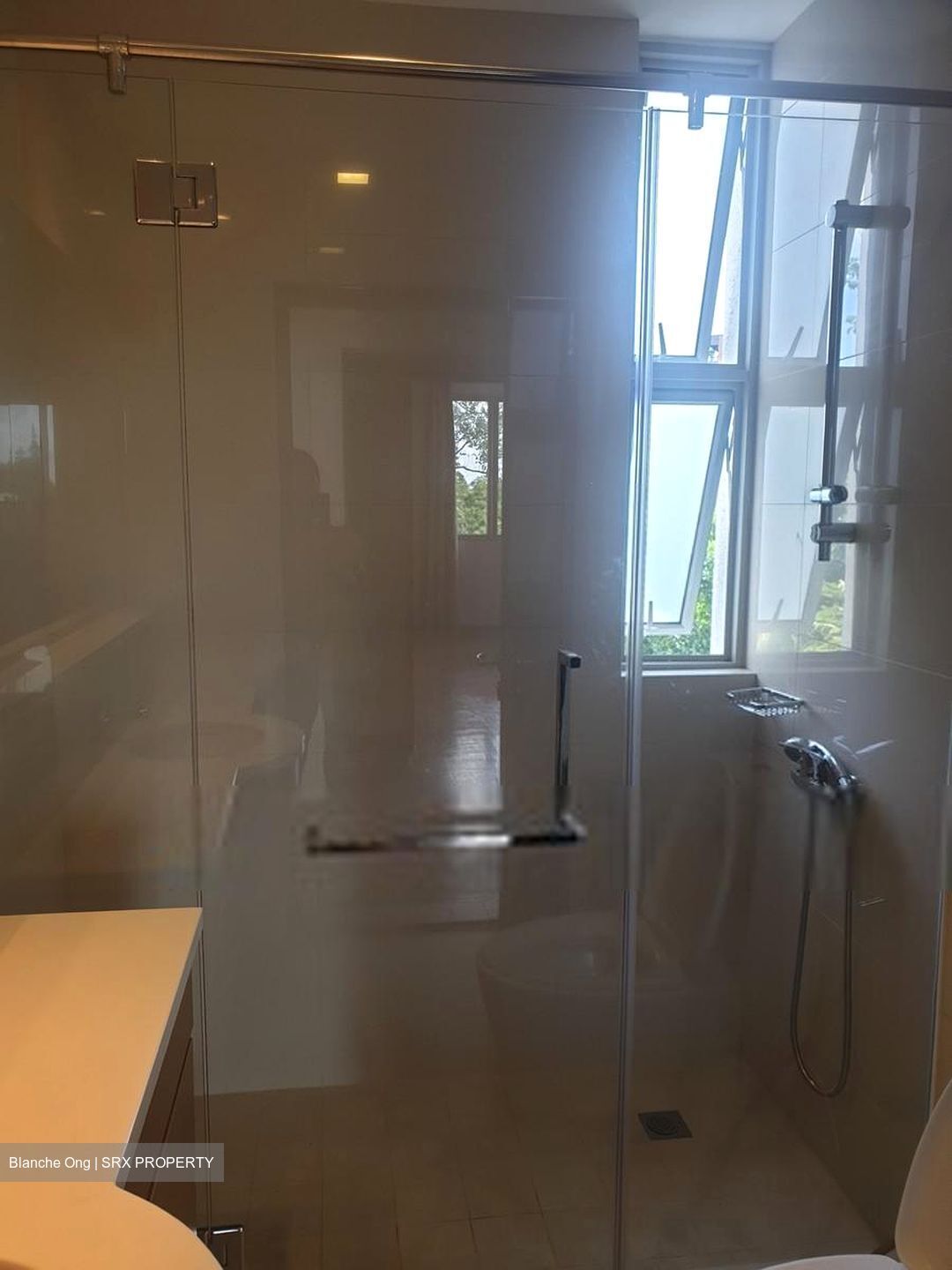 Nassim Regency (D10), Condominium #509218731